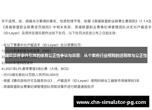 魏震禁赛事件引发的体育公正性争议与反思：从个案看行业规则的透明度与公正性