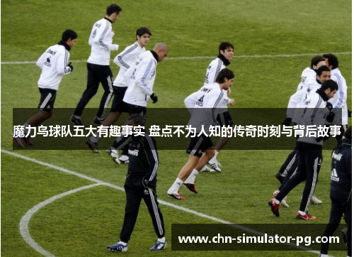 魔力鸟球队五大有趣事实 盘点不为人知的传奇时刻与背后故事