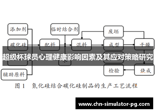 超级杯球员心理健康影响因素及其应对策略研究