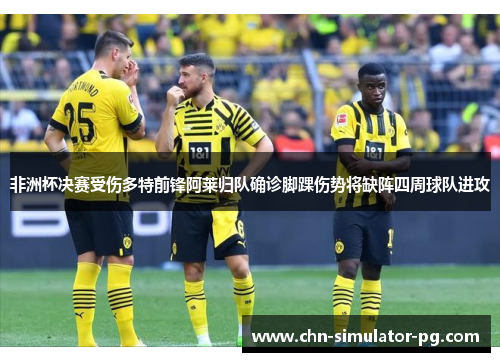 非洲杯决赛受伤多特前锋阿莱归队确诊脚踝伤势将缺阵四周球队进攻