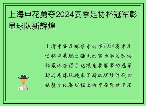 上海申花勇夺2024赛季足协杯冠军彰显球队新辉煌